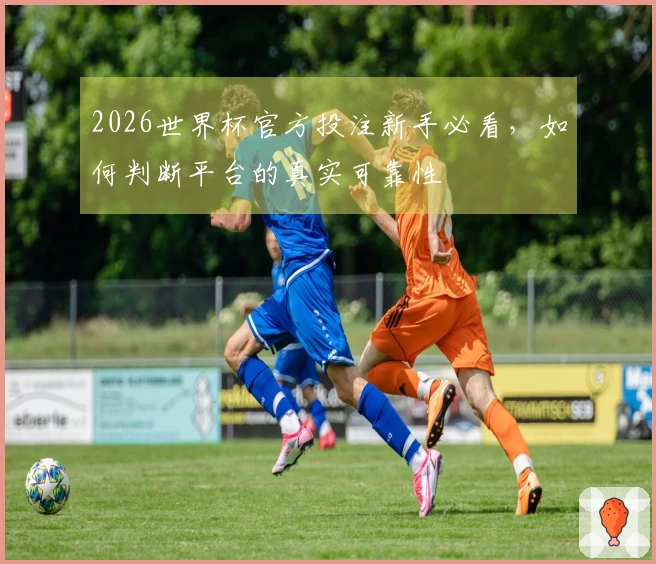 2026世界杯官方投注新手必看，如何判断平台的真实可靠性