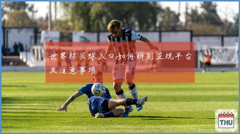 世界杯买球入口如何辨别正规平台及注意事项
