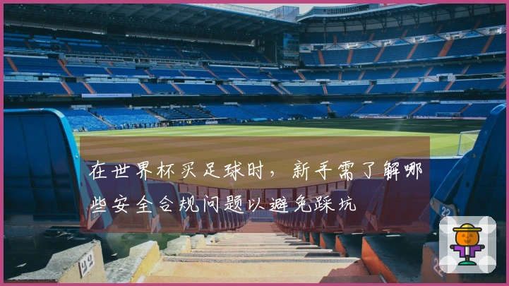 在世界杯买足球时，新手需了解哪些安全合规问题以避免踩坑