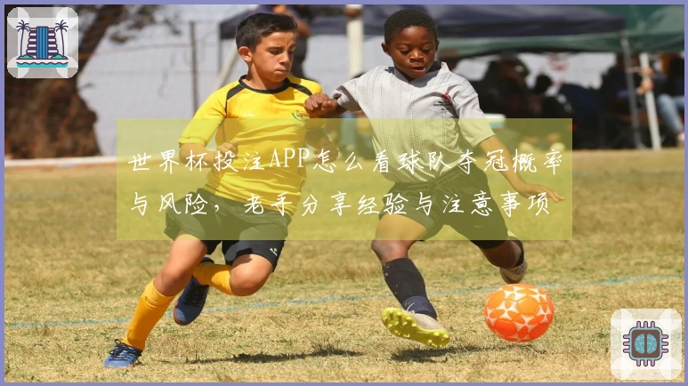 世界杯投注APP怎么看球队夺冠概率与风险，老手分享经验与注意事项