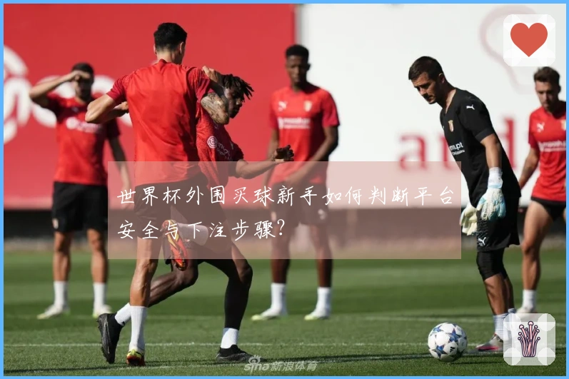 世界杯外围买球新手如何判断平台安全与下注步骤？