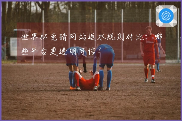 世界杯竞猜网站返水规则对比：哪些平台更透明可信？