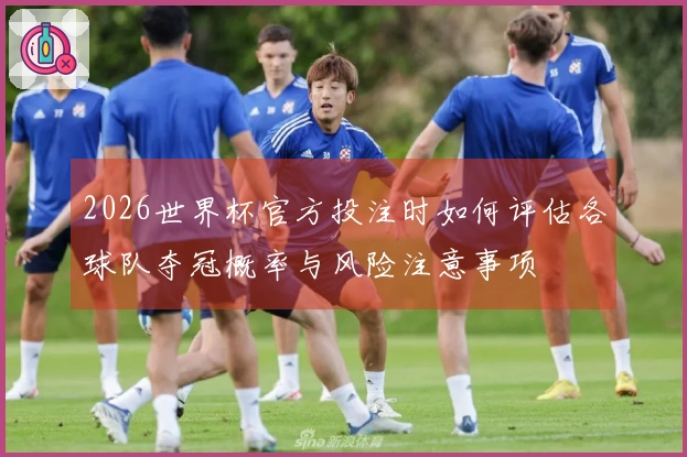 2026世界杯官方投注时如何评估各球队夺冠概率与风险注意事项
