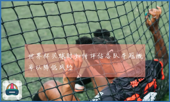 世界杯买球时如何评估各队夺冠概率以降低风险