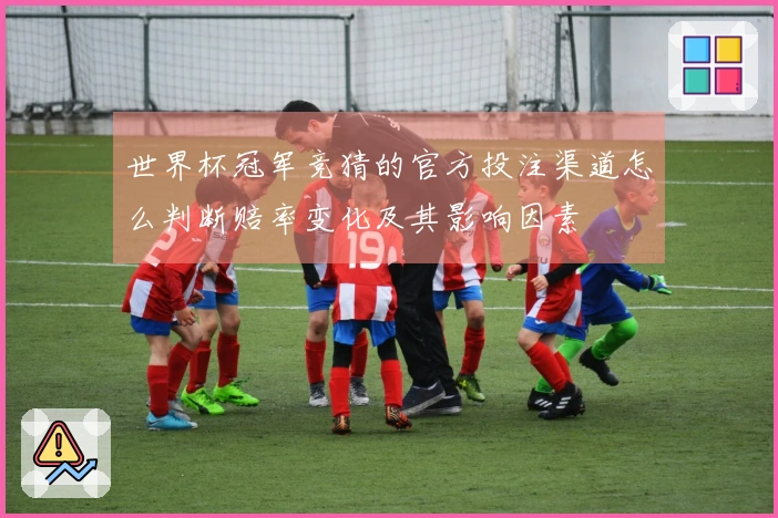 世界杯冠军竞猜的官方投注渠道怎么判断赔率变化及其影响因素