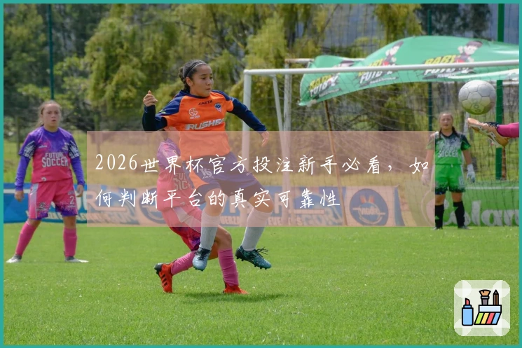 2026世界杯官方投注新手必看，如何判断平台的真实可靠性