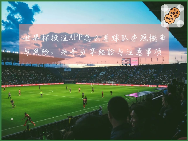 世界杯投注APP怎么看球队夺冠概率与风险，老手分享经验与注意事项