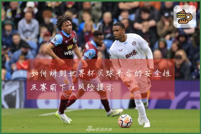 如何辨别世界杯买球平台的安全性及赛前下注风险提示