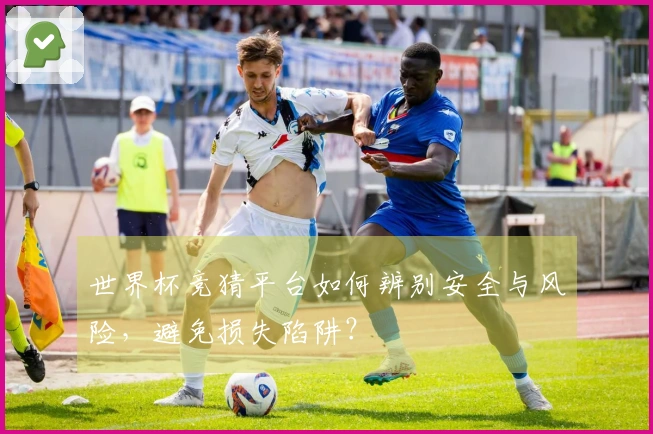 世界杯竞猜平台如何辨别安全与风险，避免损失陷阱？