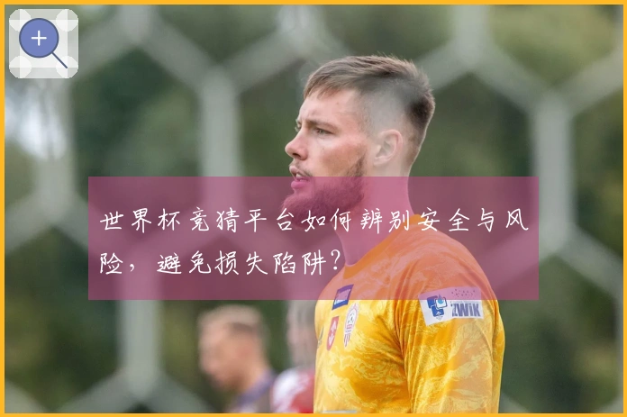 世界杯竞猜平台如何辨别安全与风险,避免损失陷阱?