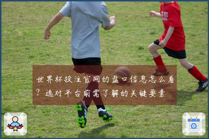 世界杯投注官网的盘口信息怎么看？选对平台前需了解的关键要素