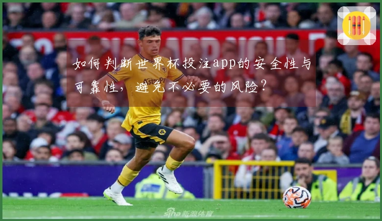 如何判断世界杯投注app的安全性与可靠性，避免不必要的风险？