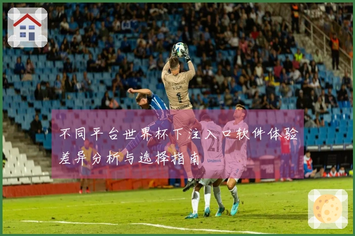 不同平台世界杯下注入口软件体验差异分析与选择指南