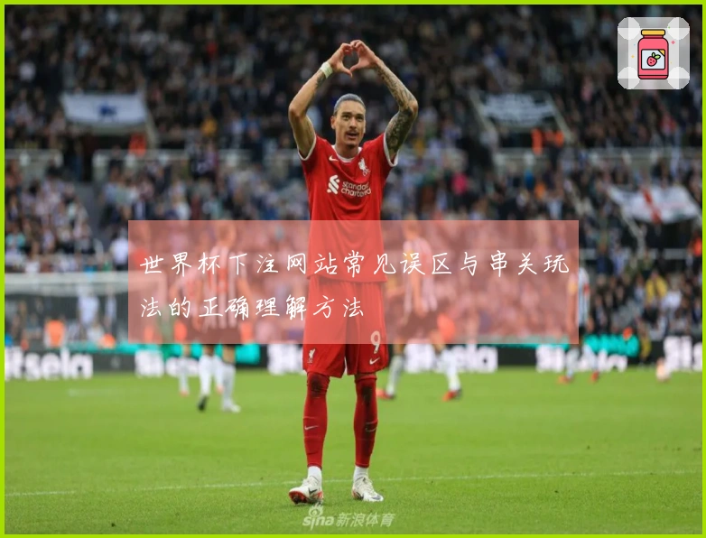 世界杯下注网站常见误区与串关玩法的正确理解方法