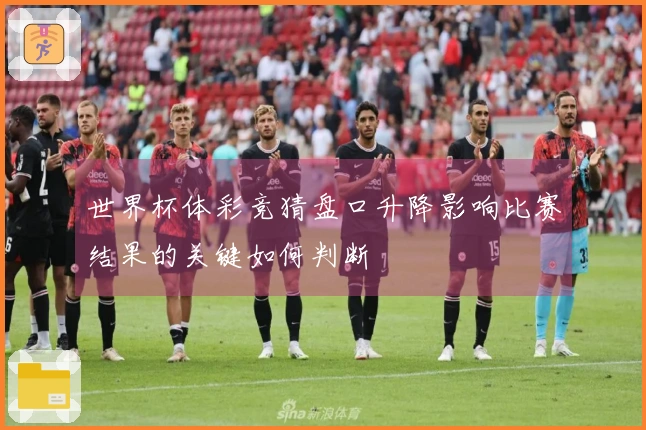 世界杯体彩竞猜盘口升降影响比赛结果的关键如何判断