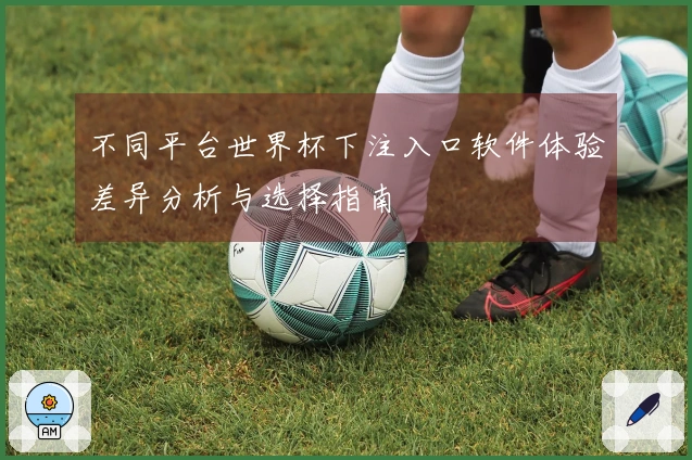 不同平台世界杯下注入口软件体验差异分析与选择指南