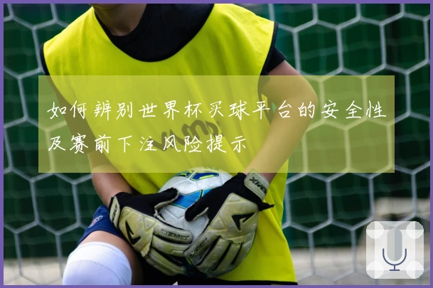 如何辨别世界杯买球平台的安全性及赛前下注风险提示