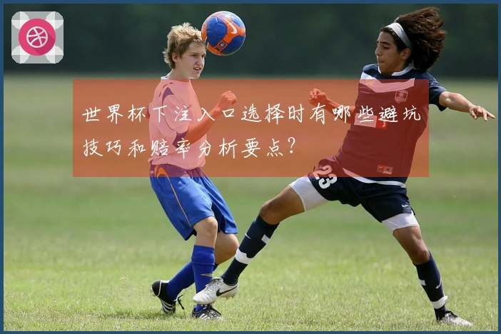 世界杯下注入口选择时有哪些避坑技巧和赔率分析要点？