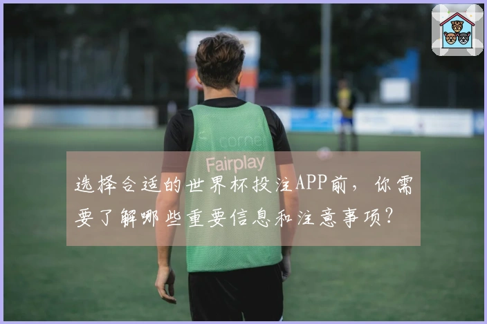 选择合适的世界杯投注APP前，你需要了解哪些重要信息和注意事项？
