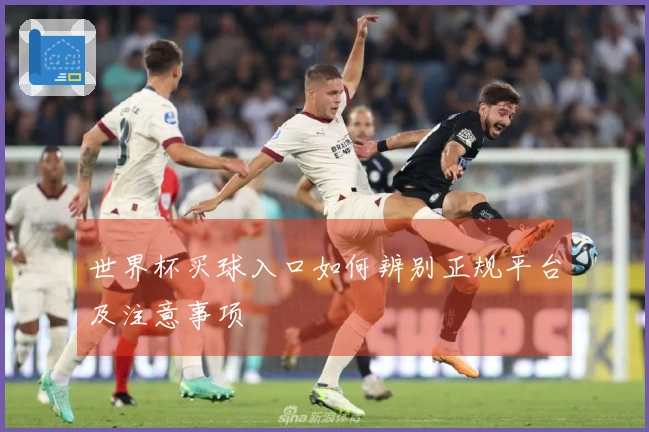 世界杯买球入口如何辨别正规平台及注意事项