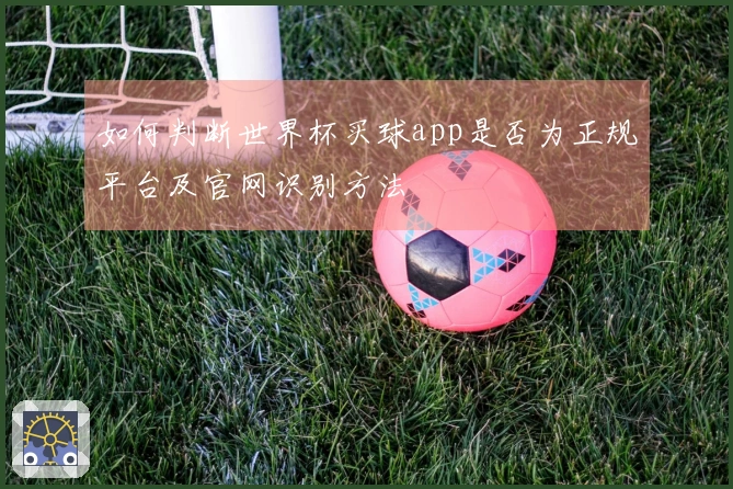 如何判断世界杯买球app是否为正规平台及官网识别方法