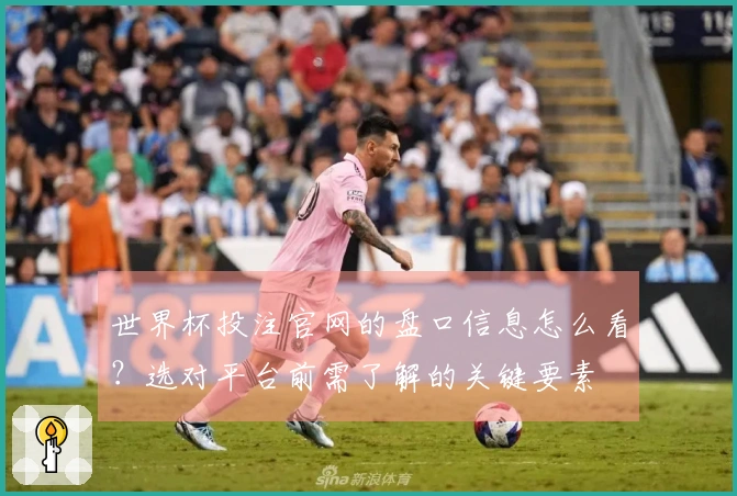 世界杯投注官网的盘口信息怎么看？选对平台前需了解的关键要素